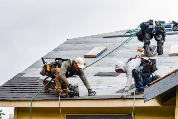 Professional Roofing technician working in Mayville, NY